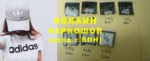 дживик Алексин