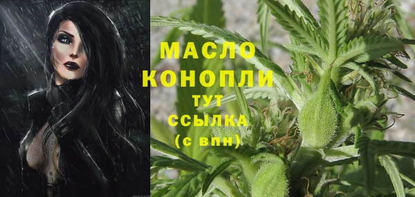 спиды Алзамай
