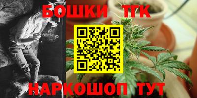 ECSTASY Камышлов