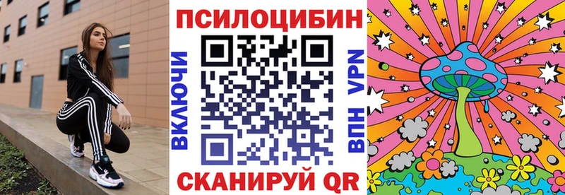 закладка Лысьва Галлюциногенные грибы мицелий